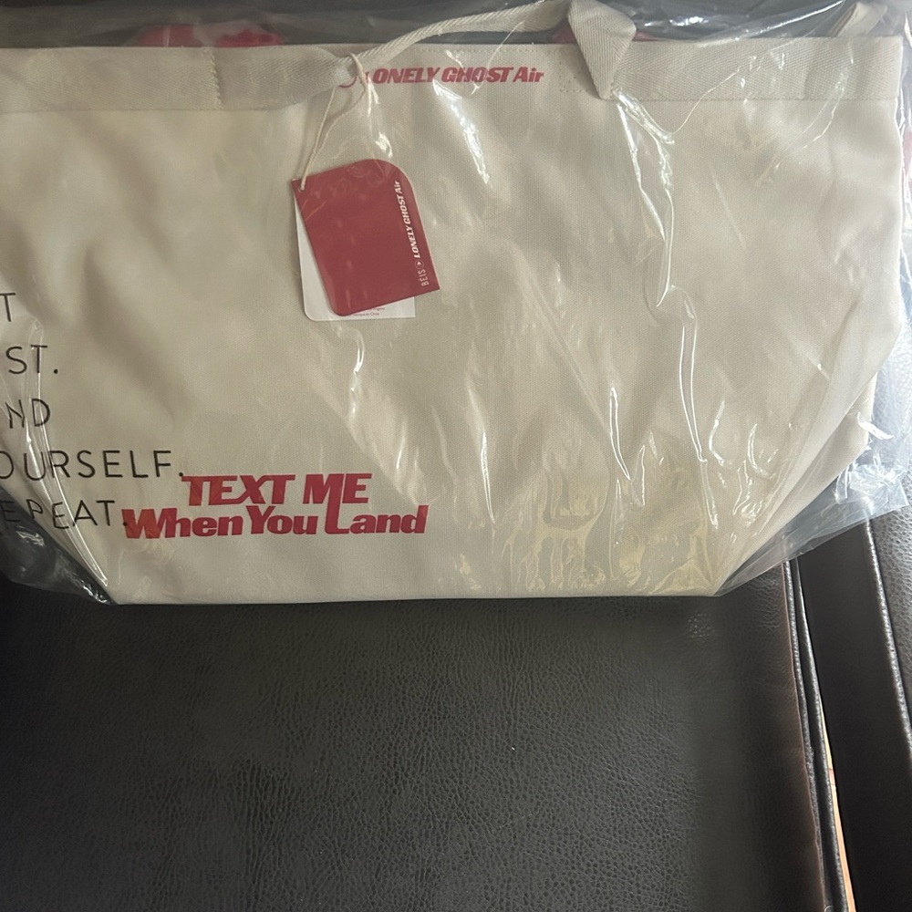 NWT Beis x The Lonely Ghost Travel Tote in Ghost White - LIMITED EDITION - Picture 13 of 13